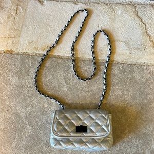 Steve Madden purse. Silver